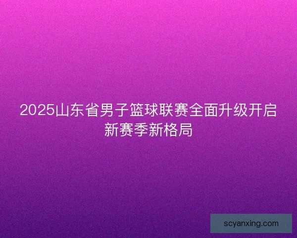 2025山东省男子篮球联赛全面升级开启新赛季新格局 2025山东省男子篮球联赛全面升级开启新赛季新格局