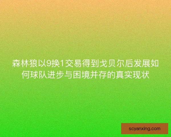 森林狼以9换1交易得到戈贝尔后发展如何球队进步与困境并存的真实现状 森林狼以9换1交易得到戈贝尔后发展如何球队进步与困境并存的真实现状