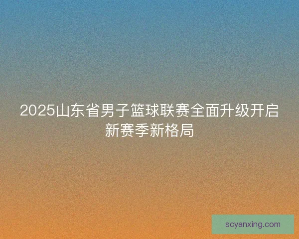 2025山东省男子篮球联赛全面升级开启新赛季新格局