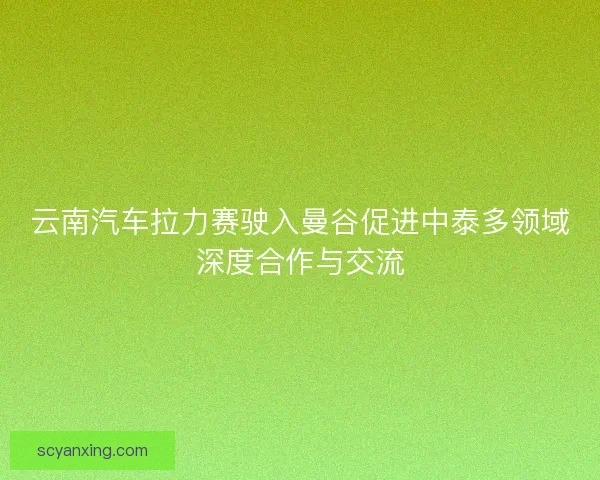 云南汽车拉力赛驶入曼谷促进中泰多领域深度合作与交流 云南汽车拉力赛驶入曼谷促进中泰多领域深度合作与交流